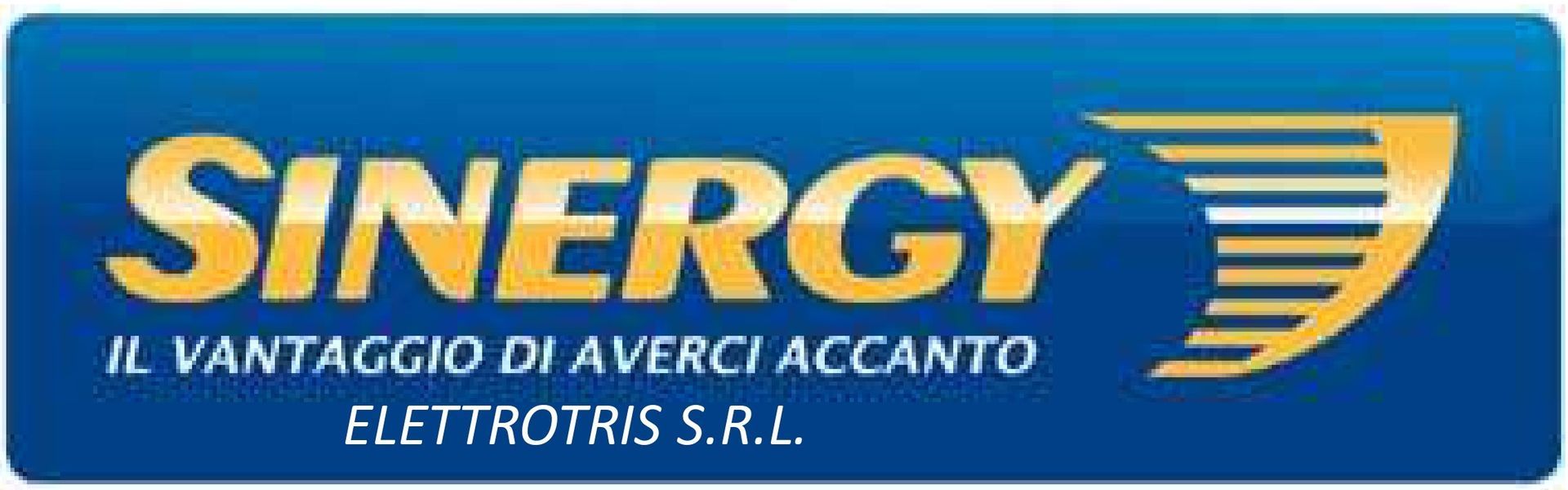 Logo Sinergy - Partner BSN Consulting