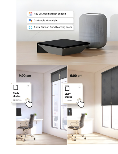 Bedroom with bed, bench, rug, nightstand, and window with blinds.