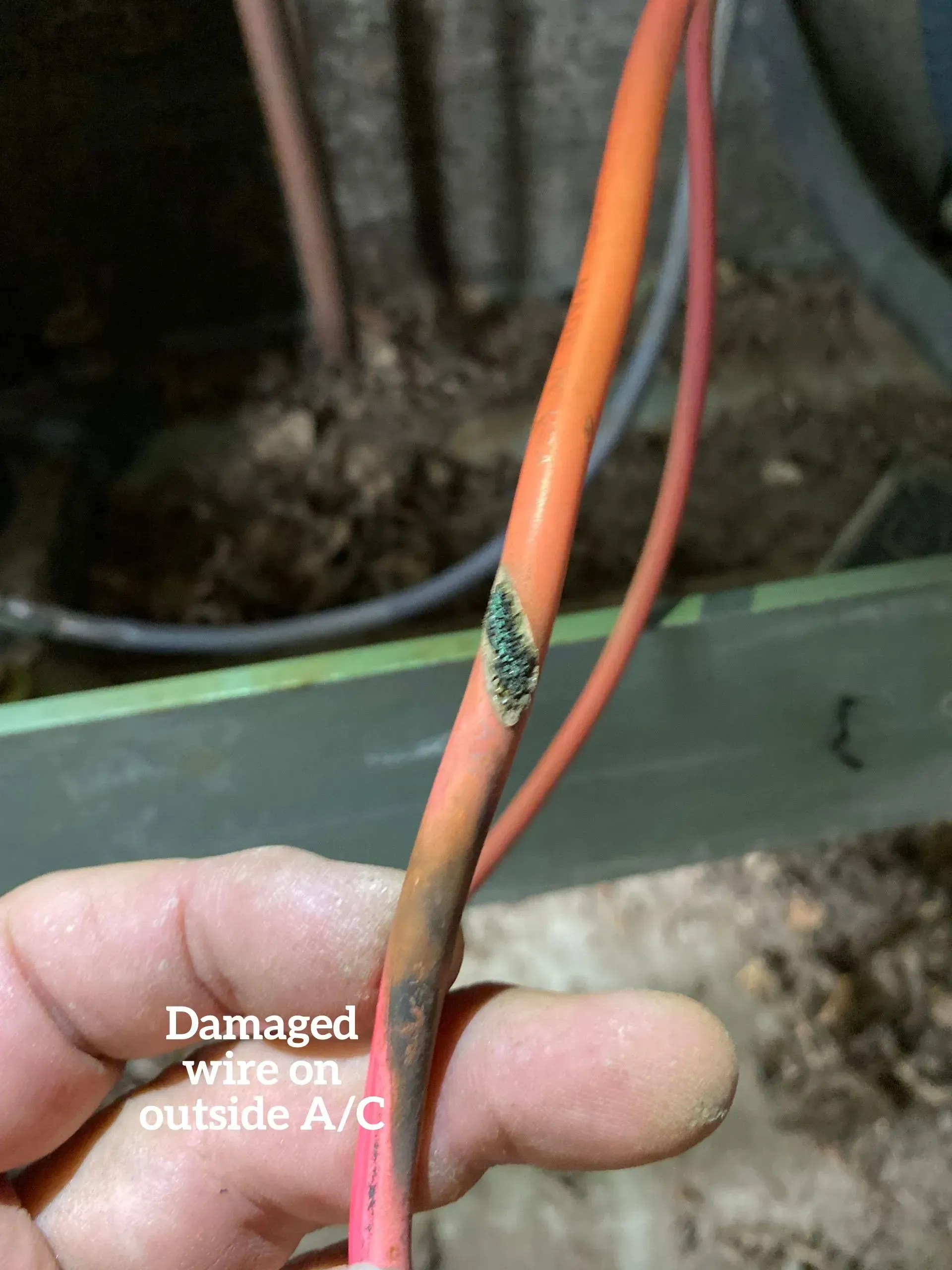 A close-up of a damaged orange electrical wire with exposed copper on an outdoor air conditioning unit.