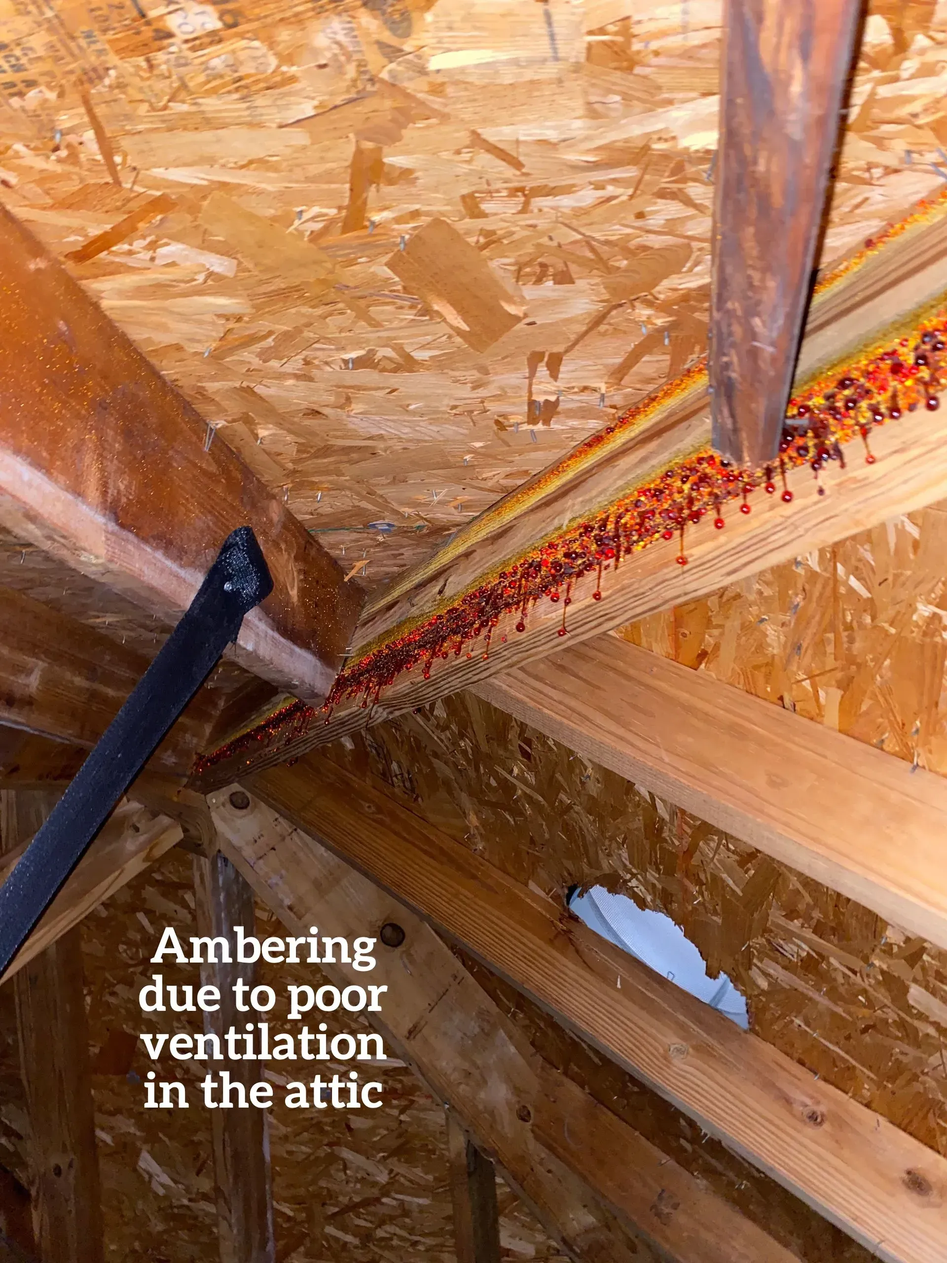 Amber-colored resin bleeding from wooden attic rafters, indicating poor ventilation.