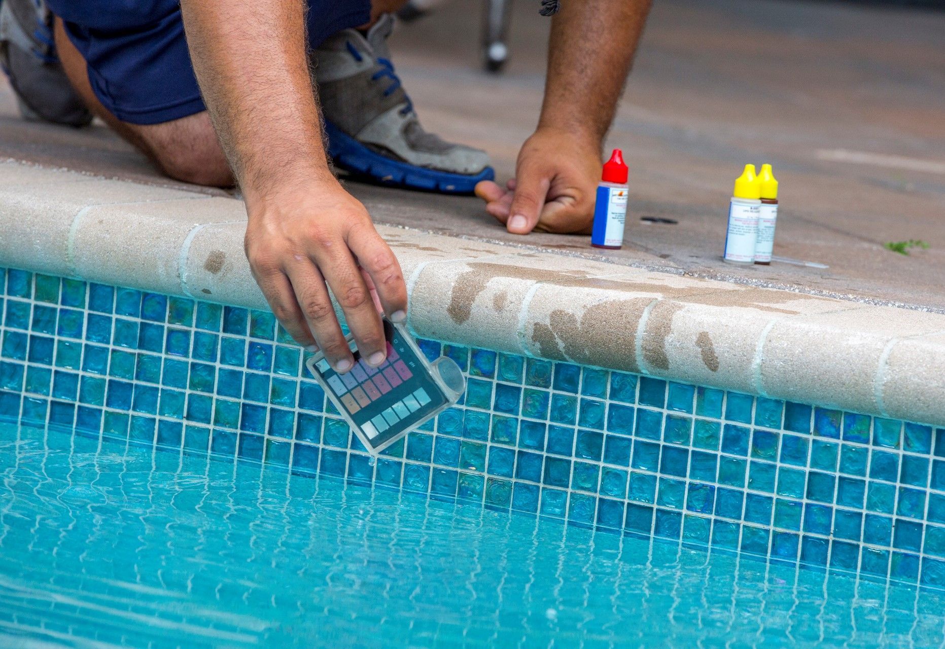A person holding a pool test strip over blue tiled water next to two reagent bottles on a pool deck.