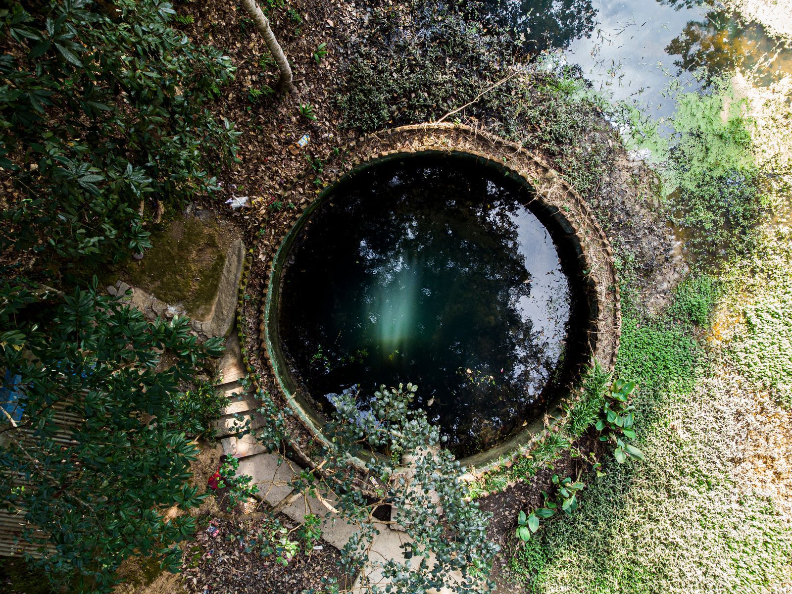 An overhead view of a circular stone-rimmed well filled with dark water, nestled in a lush, wooded area.