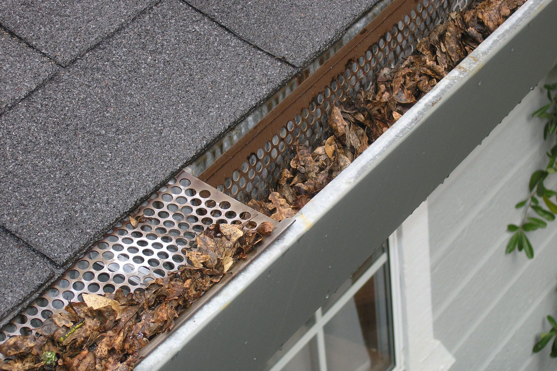 Gros plan sur une gouttière munie d'une grille de protection, remplie de feuilles mortes, près d'un toit gris.