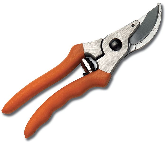 Hand Pruners