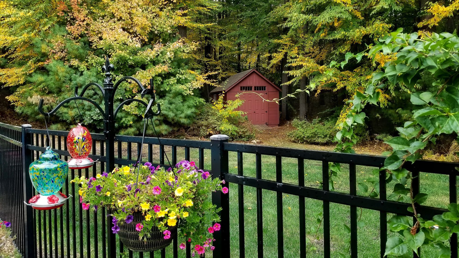 A black wrought iron fence surrounds a lush green hedge.
