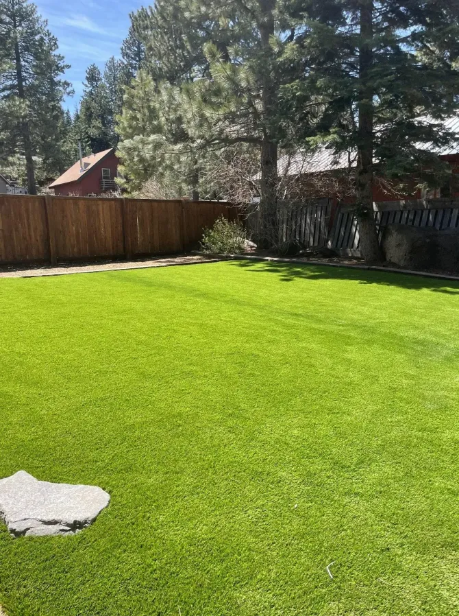 A vibrant green lawn enclosed by a wooden fence, with trees and a house visible in the background.