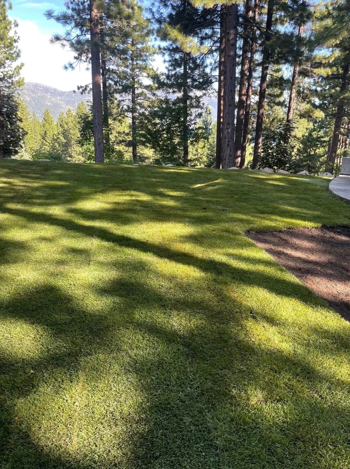 Lush green lawn with tree shadows, set against a backdrop of trees, mountains, and blue sky.