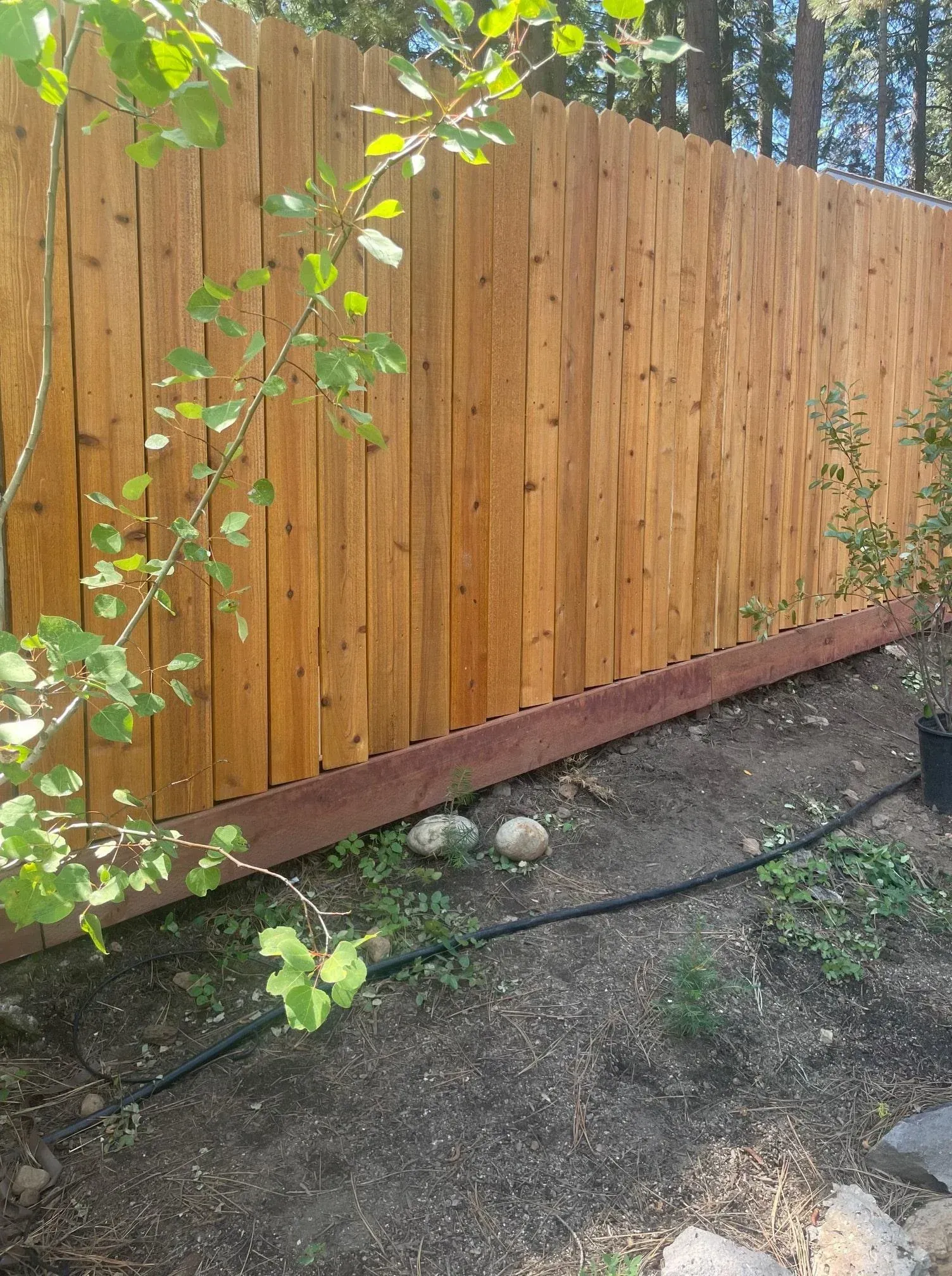Wooden fence stained brown, with dark brown baseboard, in a yard with sparse vegetation and a black irrigation line.