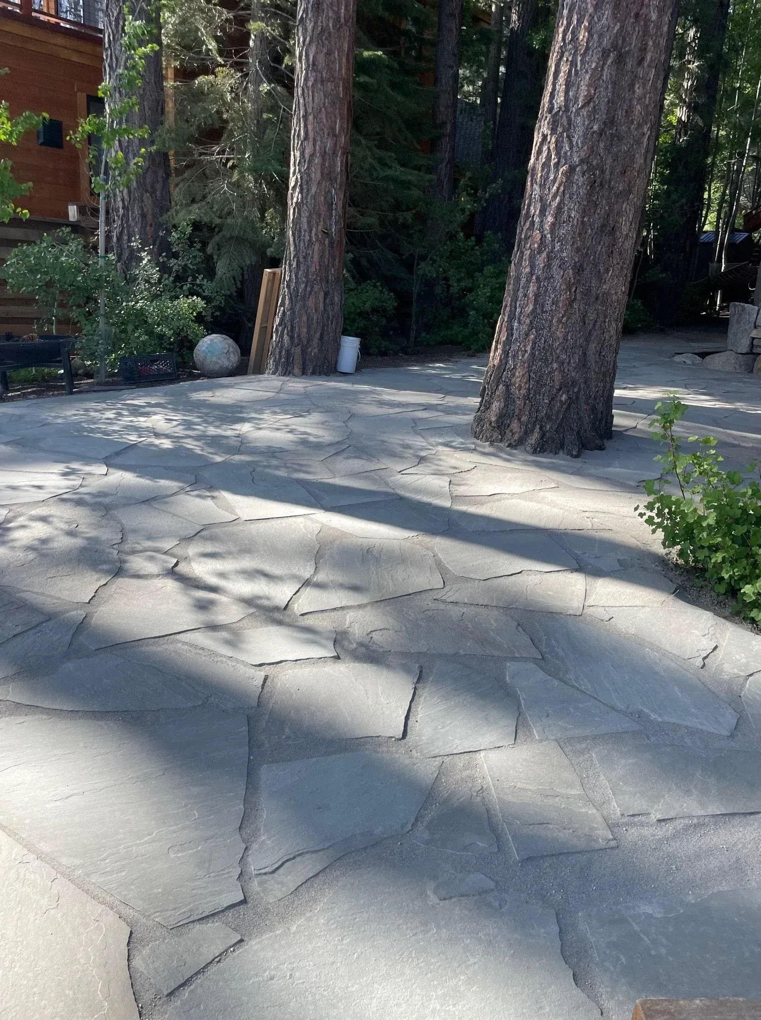 Stone patio with trees in a wooded area, dappled sunlight.