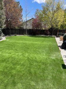 Lush green artificial lawn in a backyard, with trees and a house in the background on a sunny day.