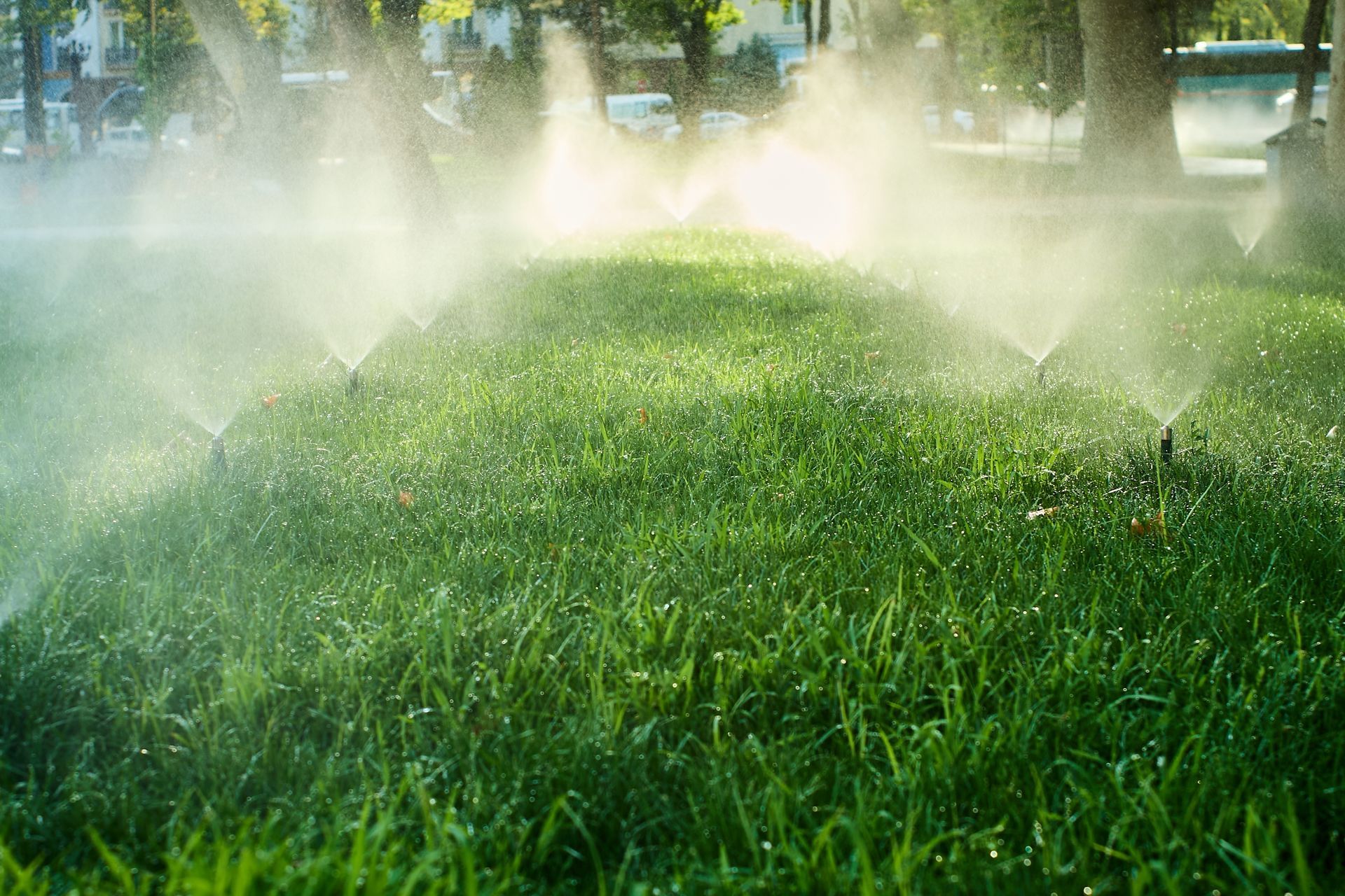 Sprinklers watering lush green grass in a park, creating a mist of water in the sunlight.
