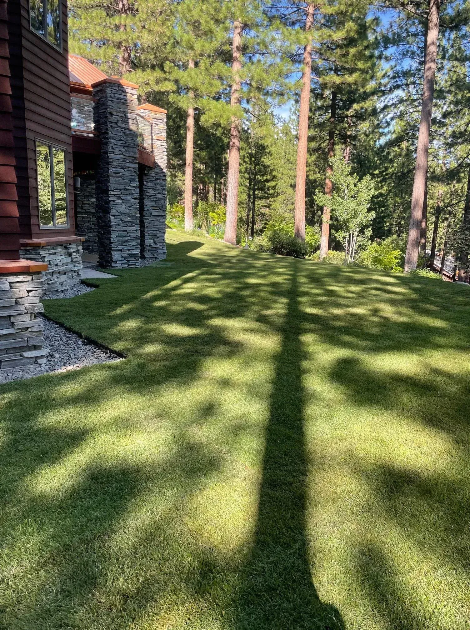 Lawn in a wooded area with the shadow of a tree stretching across it, next to a building with stone and wood siding.