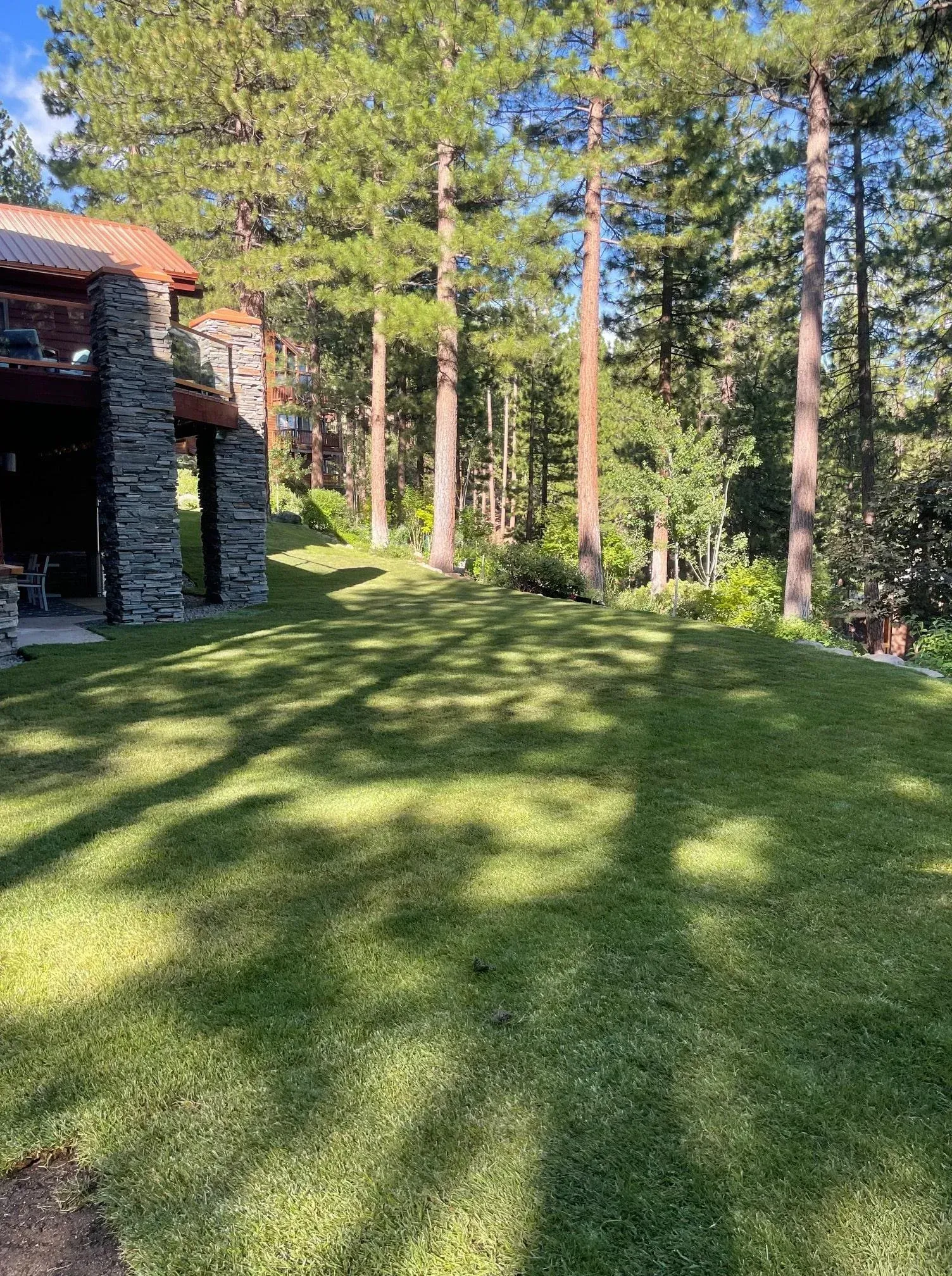 Lush green lawn with shadows, tall trees, and a stone house on a hillside.