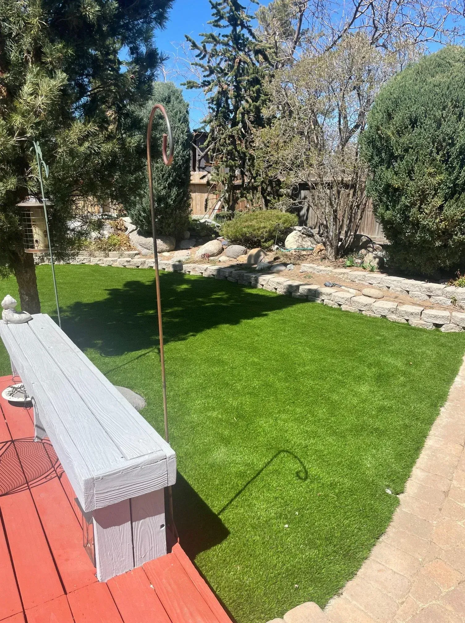 Backyard with a green lawn, stone wall, bench, and tall trees under a blue sky.