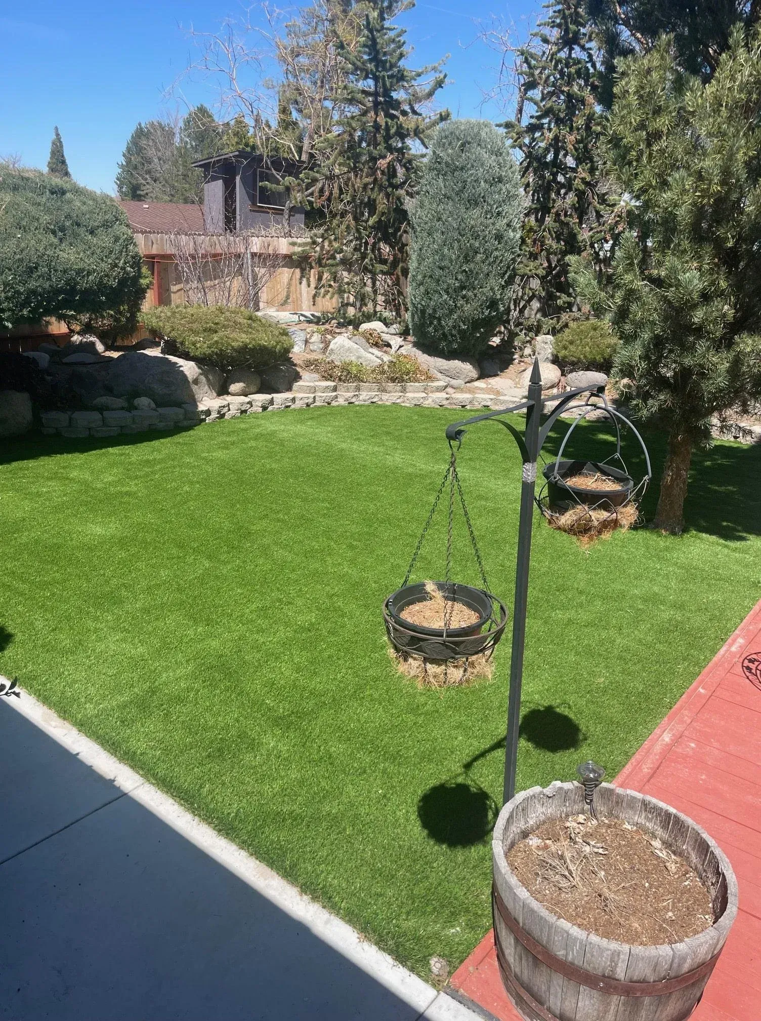 Green lawn in a backyard, with trees and a hanging bird feeder. Wood barrel planter and red deck.