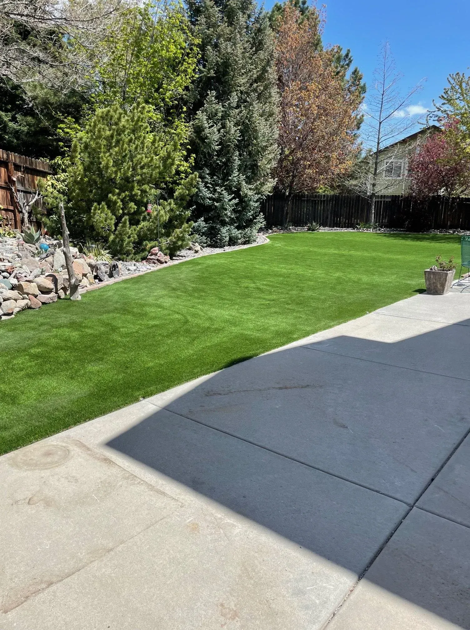 Backyard with green artificial grass, concrete patio, trees, and blue sky.