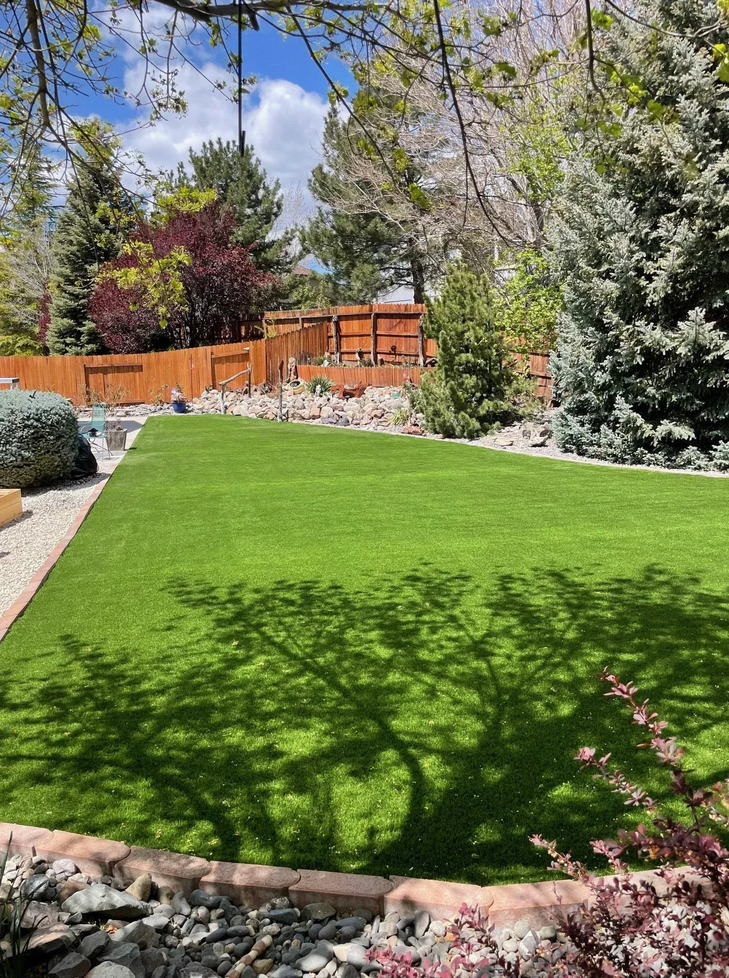 Lush green artificial lawn in a backyard, with trees, a fence, and a blue sky overhead.