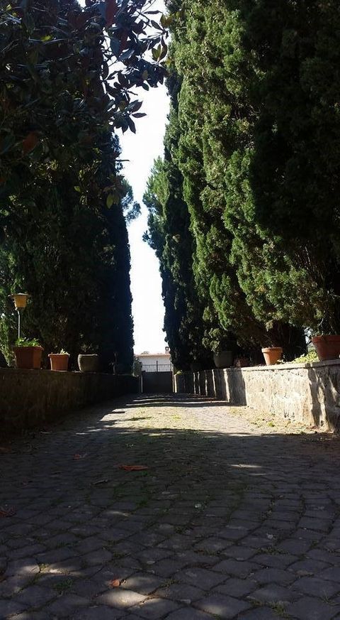 viale alberato