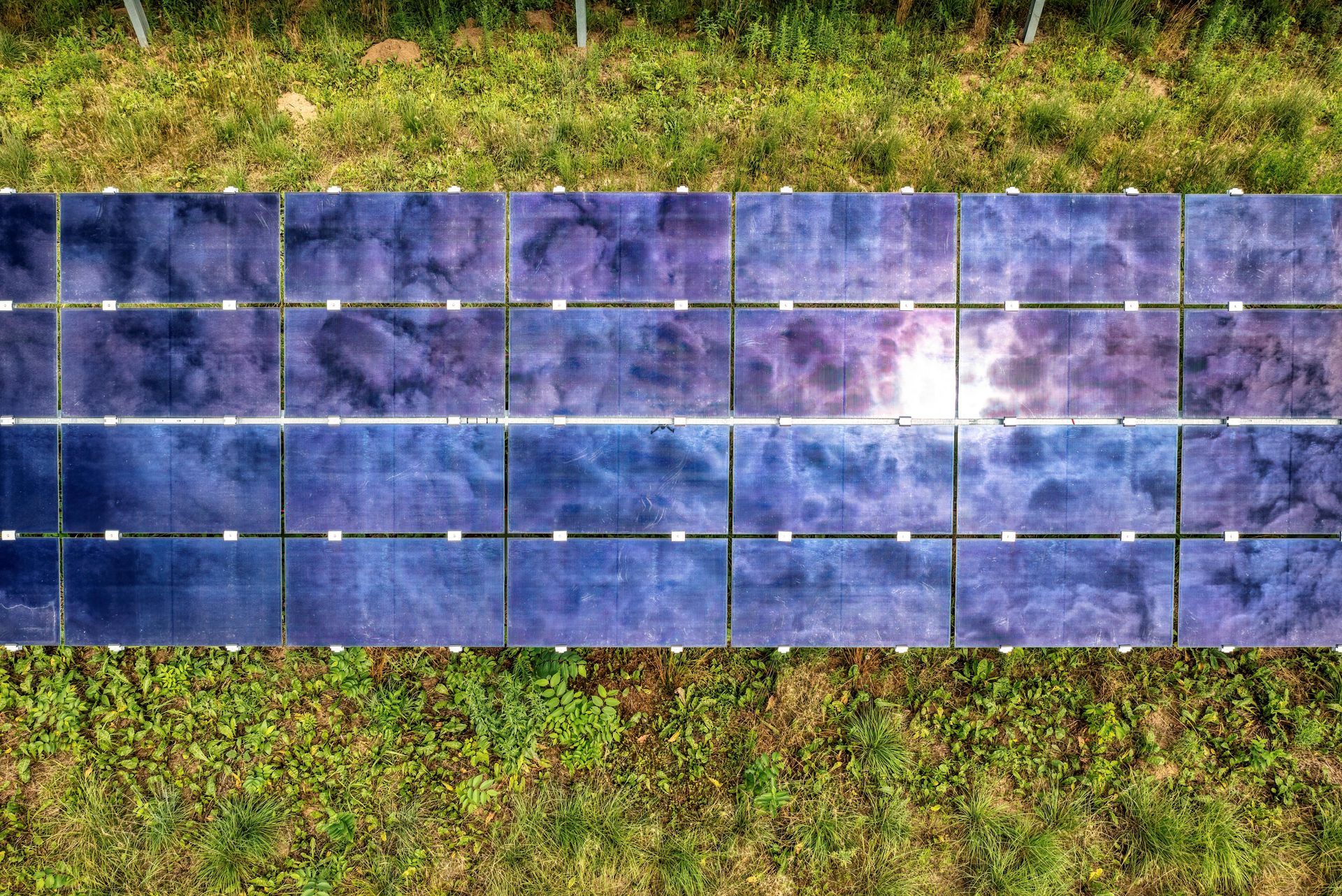 Overhead view of solar panels, shimmering blue with sun reflection, set in green grassy field.