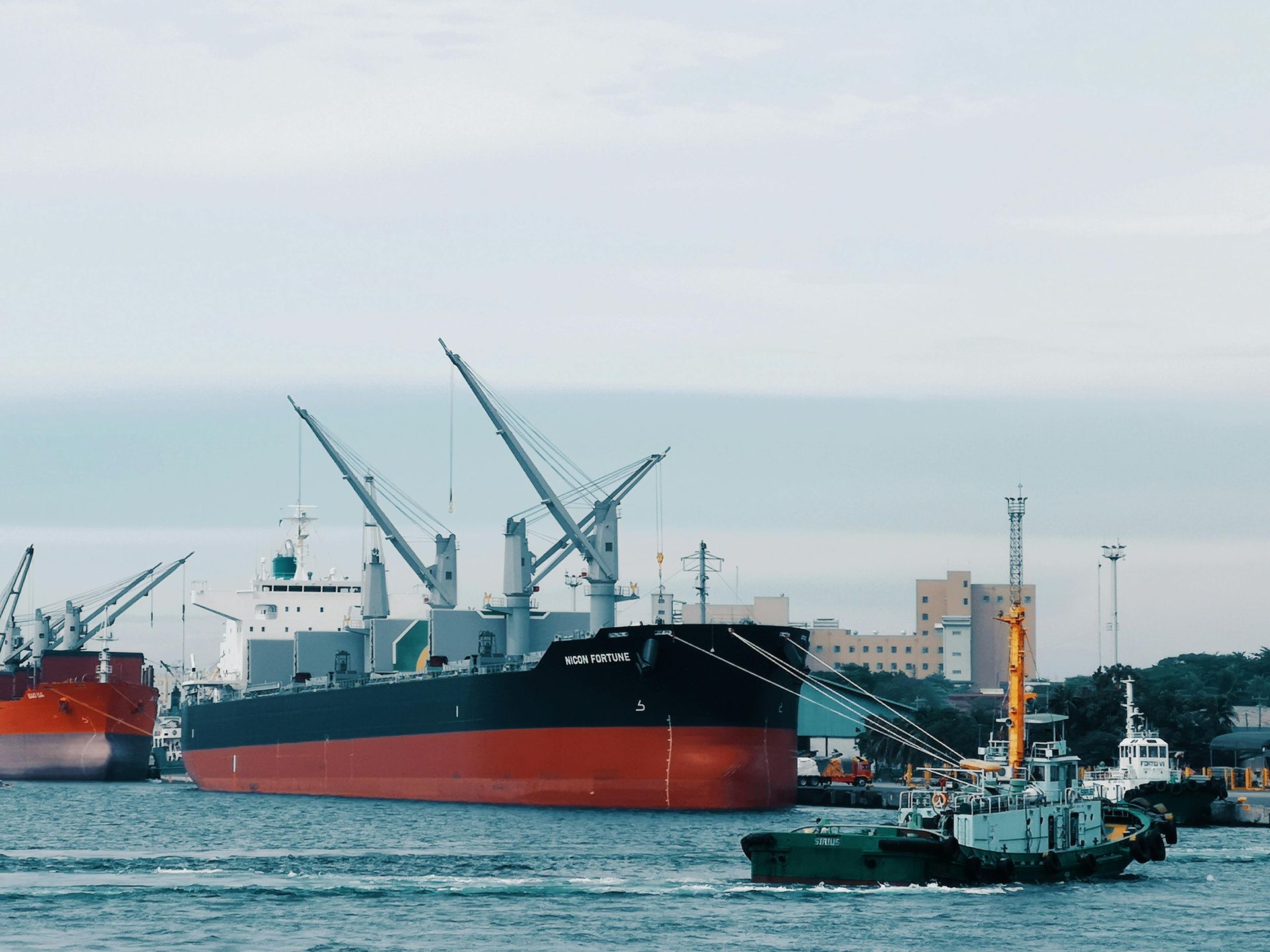 Cargo ships at a harbor. Red, black, and white vessels with cranes against a cloudy sky. A small green tugboat.