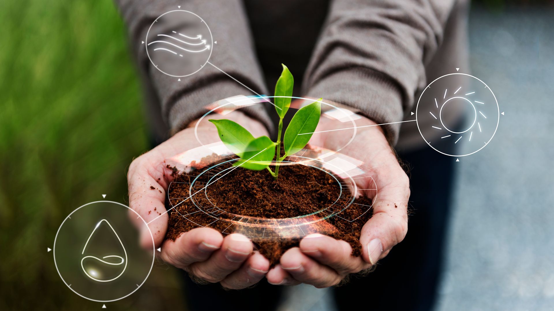 Person holding a seedling in cupped hands with digital icons representing water, wind, and energy.