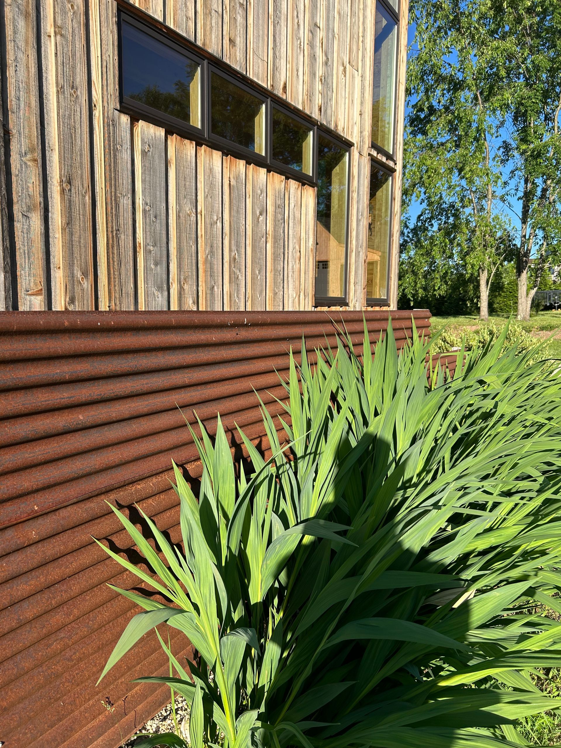 A wooden building with a rusty fence and plants in front of it.