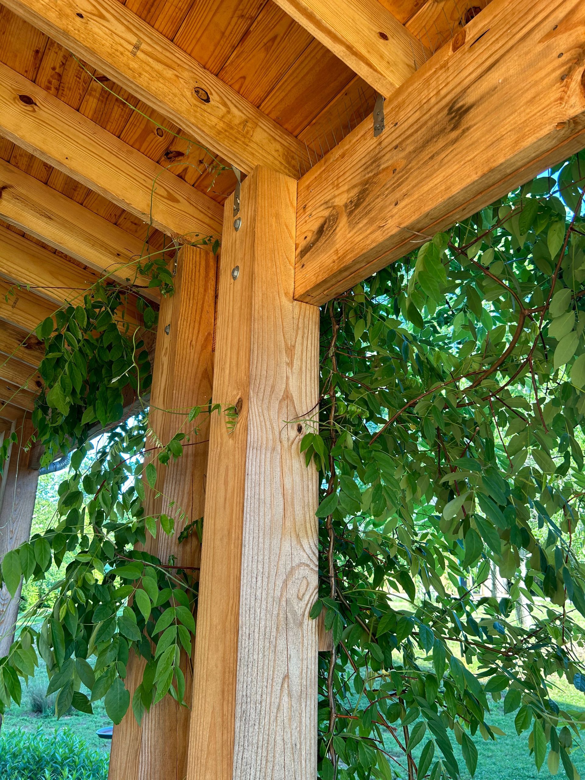 A close up of a wooden structure with a tree in the background.
