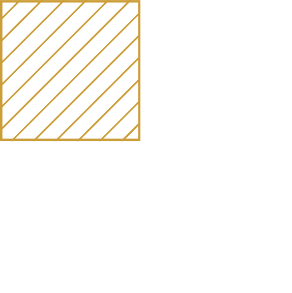 lines details