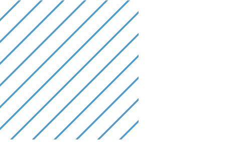 lines details