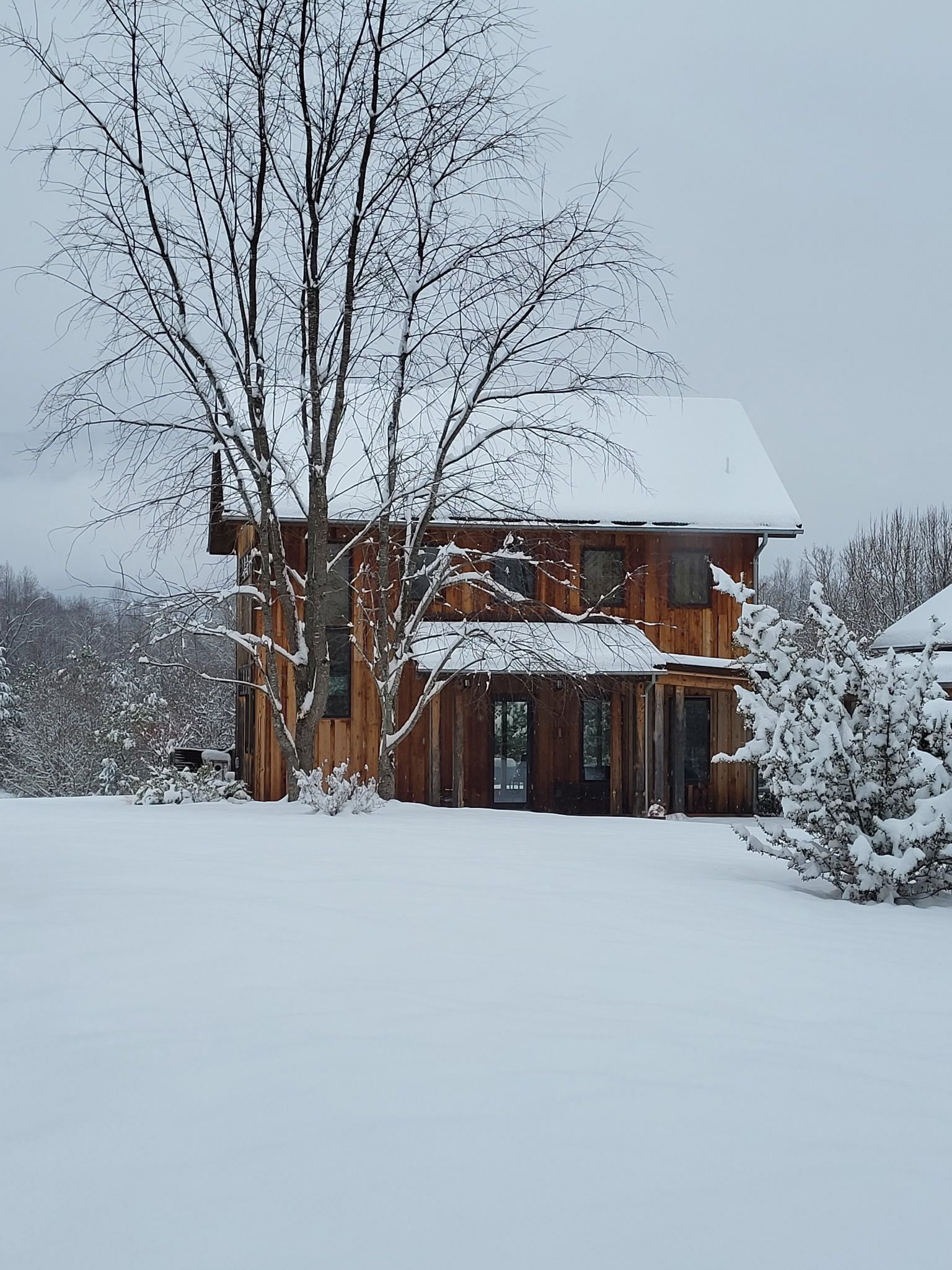 A wooden house covered in snow with trees in the background.