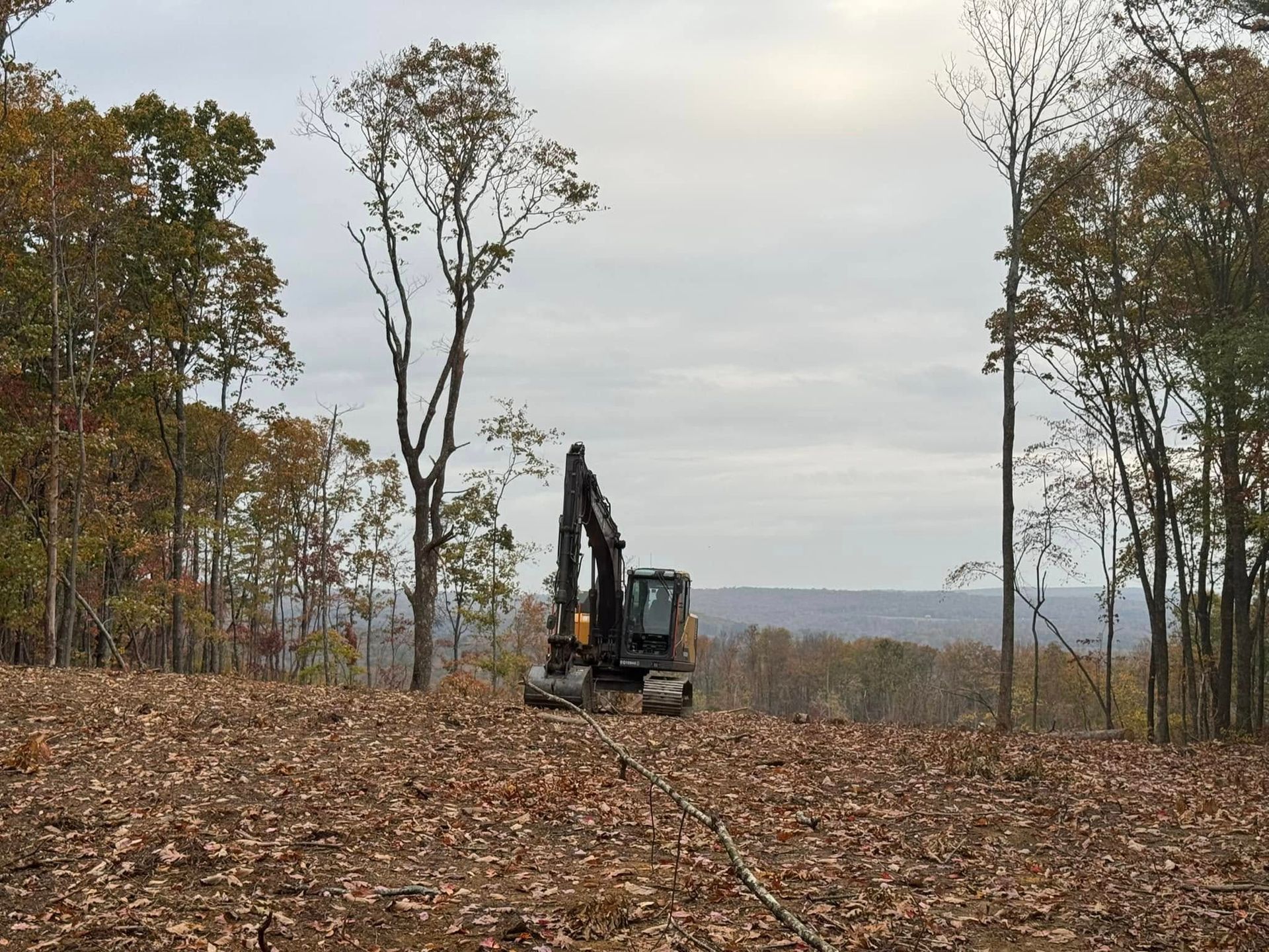 A bulldozer is driving through a field of leaves in the woods.
