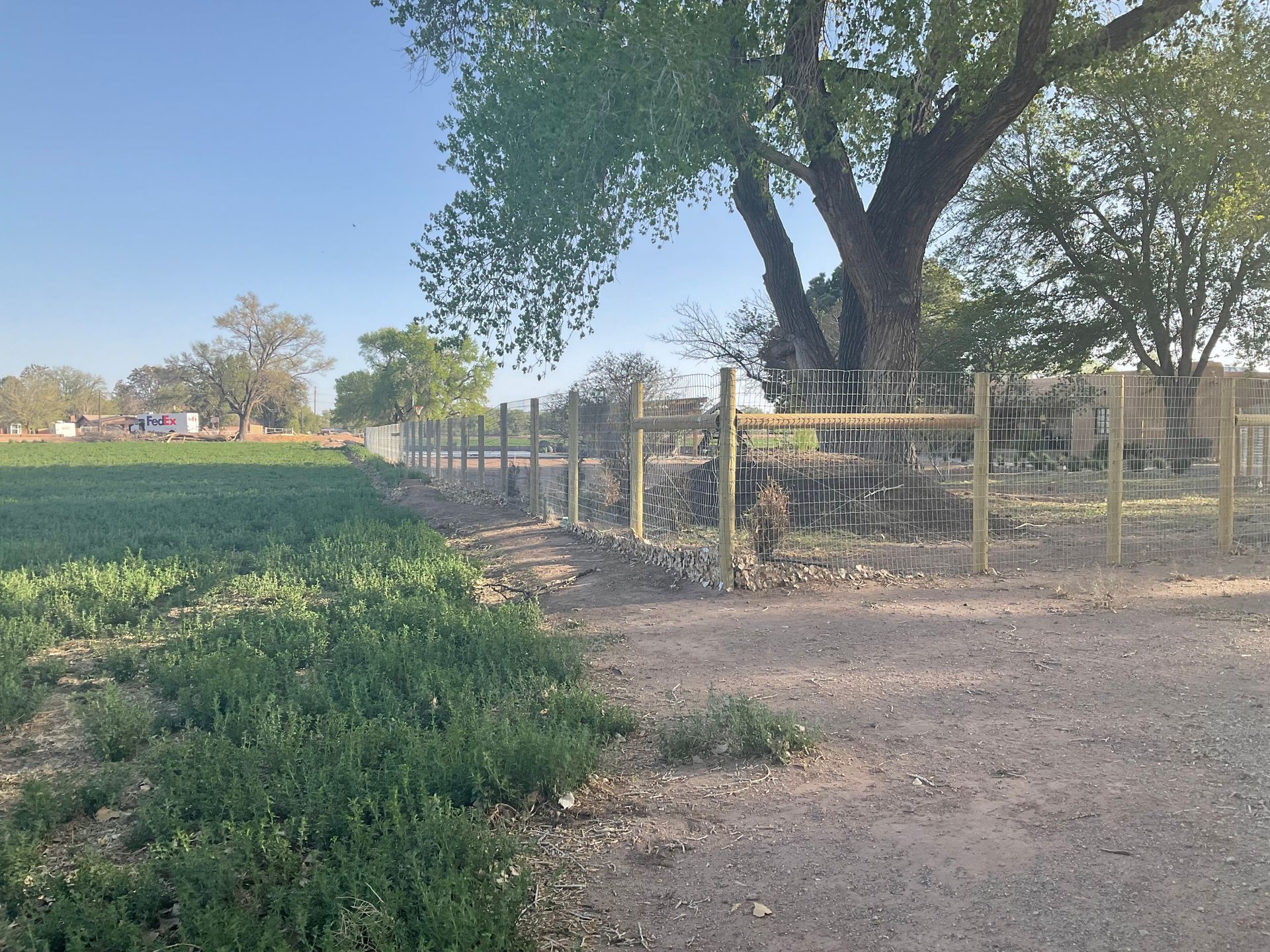A wooden fence surrounds a field with trees in the background.