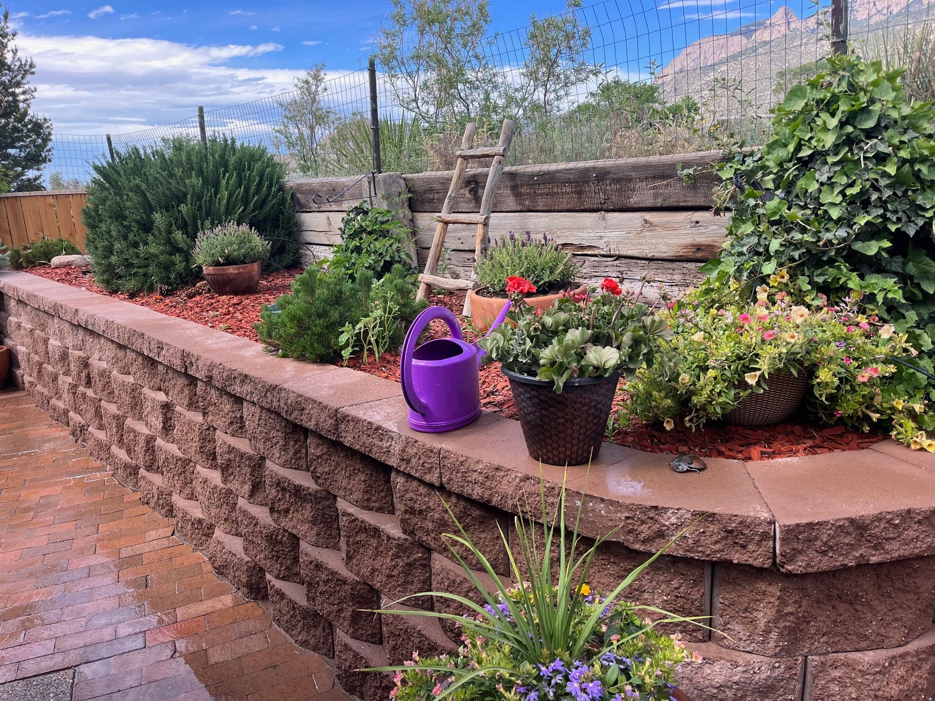 A purple watering can is sitting on a brick wall in a garden.