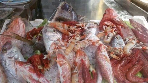 pesci freschi dentro il ghiaccio