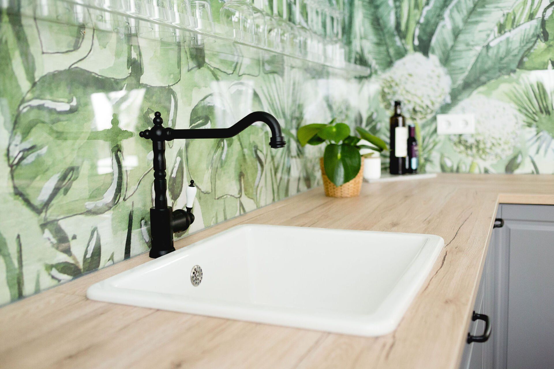 Eine Küchenspüle mit einem schwarzen Wasserhahn und einer Pflanze auf der Anrichte.