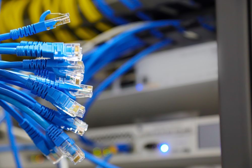 A bunch of blue ethernet cables are connected to a server.
