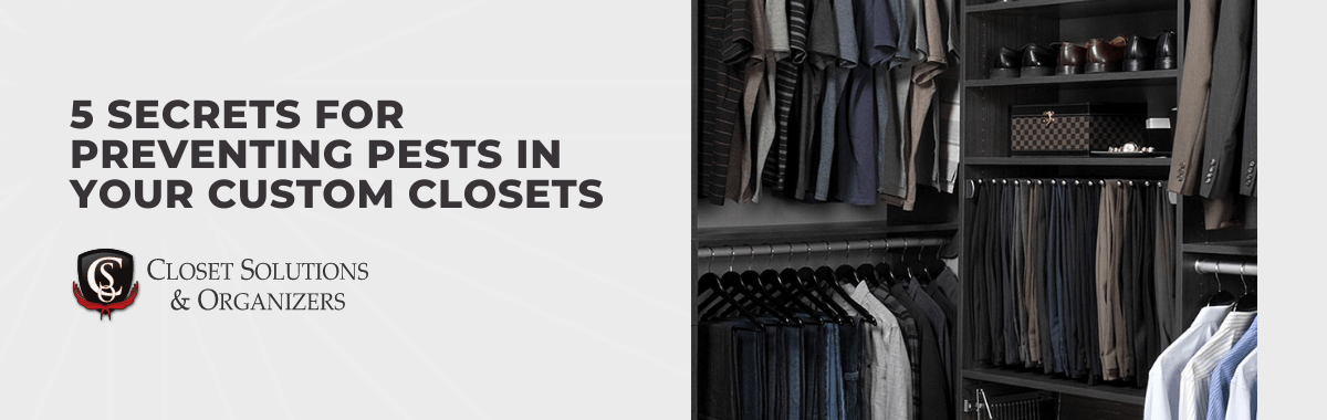 5 Secrets for Preventing Pests in Your Custom Closets