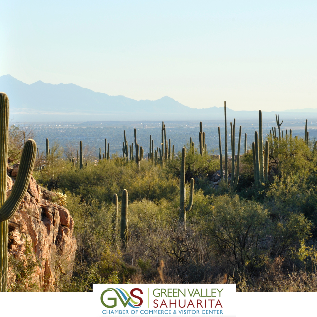 Green Valley Sahuarita Chamber of Commerce & Visitor Center 