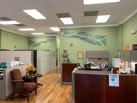 Office with green interior paint — Orlando, FL — More Than Accounting LLC