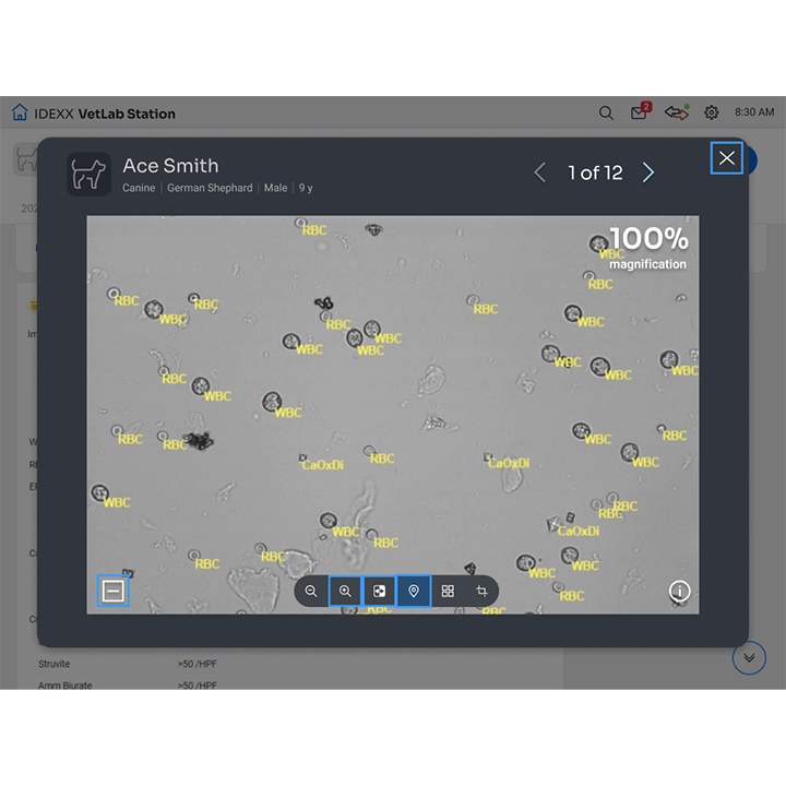 Idexx Sediment Analysis