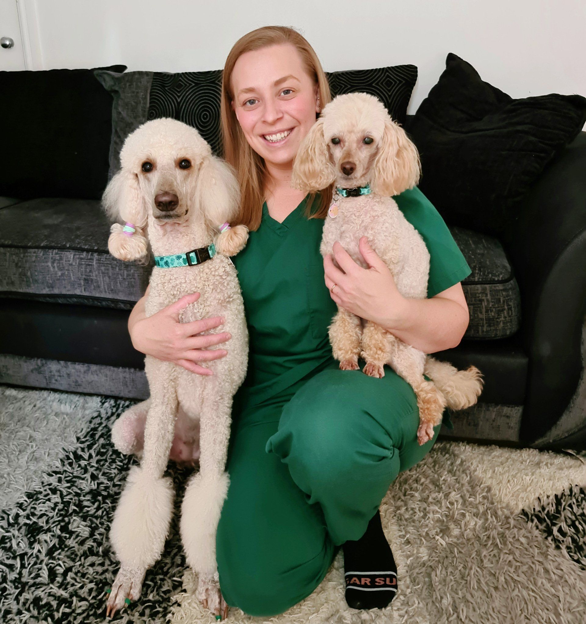 Veterinary surgeons Little Hoppers Vets