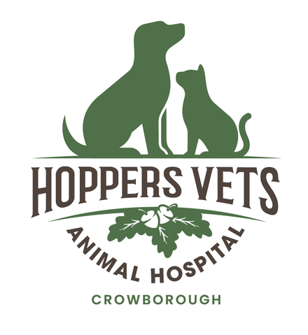 A local pet clinic | Little Hoppers Vets