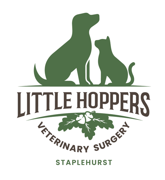 A local pet clinic Little Hoppers Vets