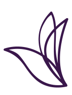 Um desenho roxo de uma flor em um fundo branco.