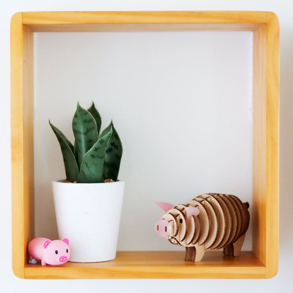 A shelf with a plant and a pig on it