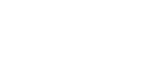 Little Pig Consulting text logo