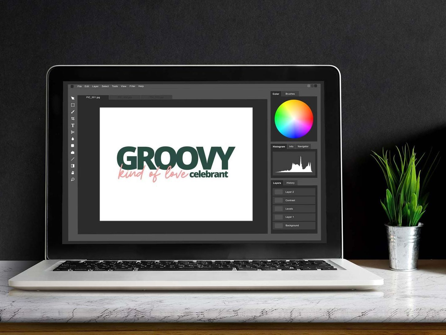 groovy kind of love celebrant logo