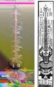 A picture of a skeleton next to a drawing of a skeleton.