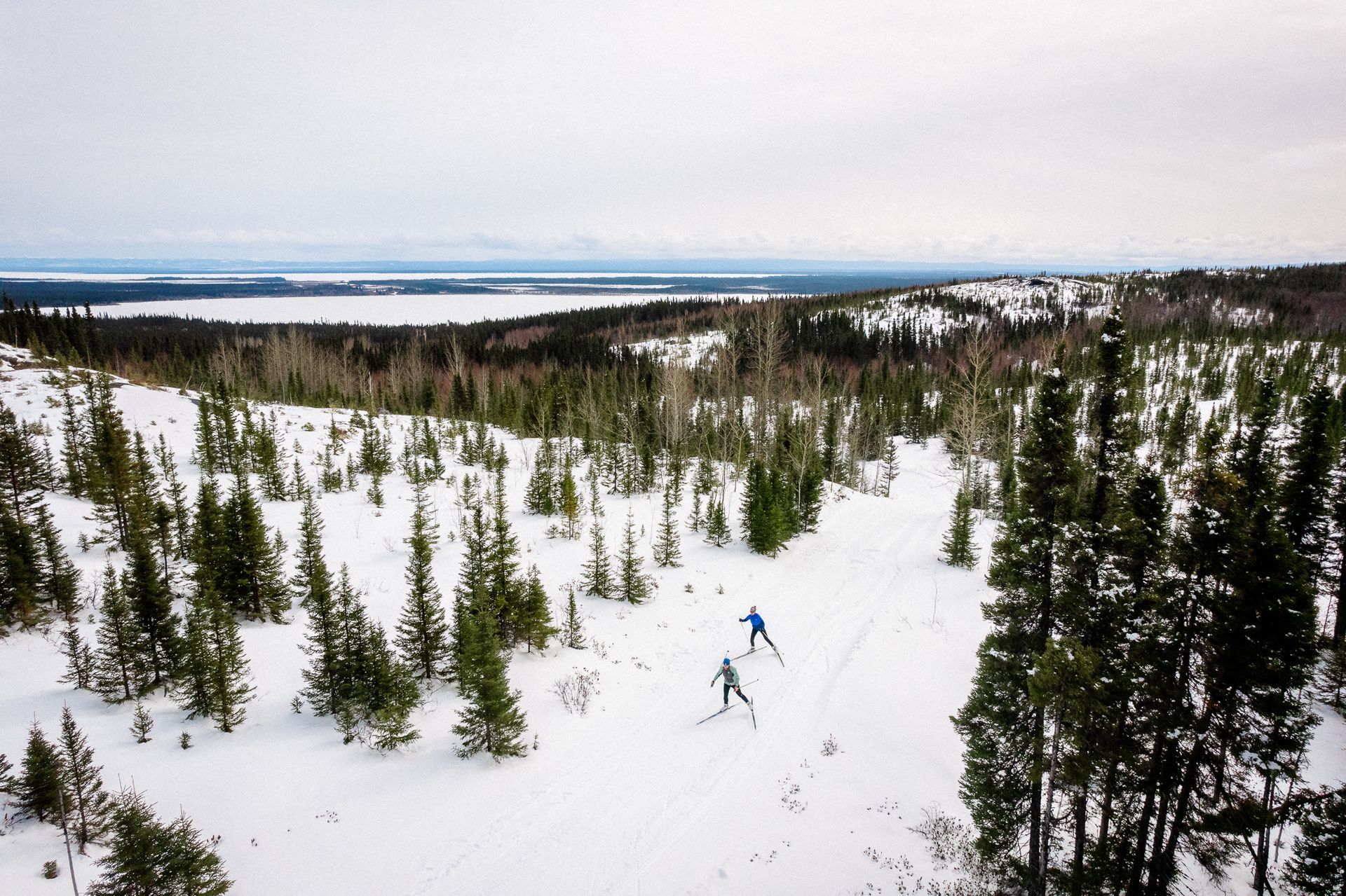 Two husky dogs are standing in the snow looking at the camera.