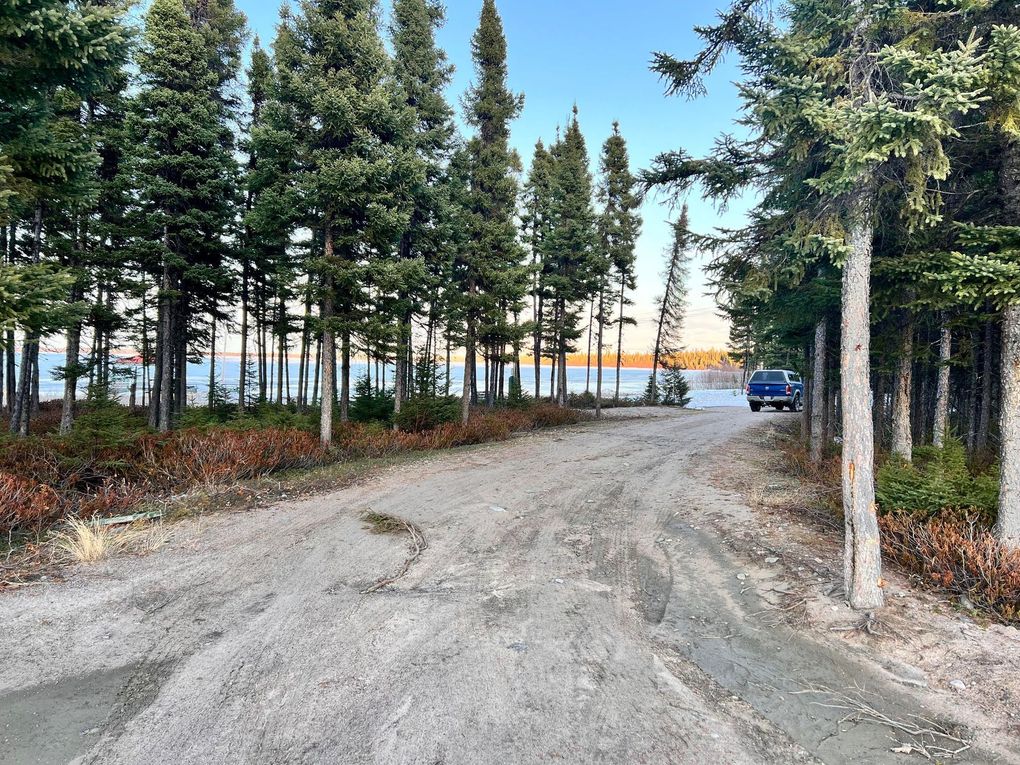 A dirt road with trees on both sides and a lake in the background